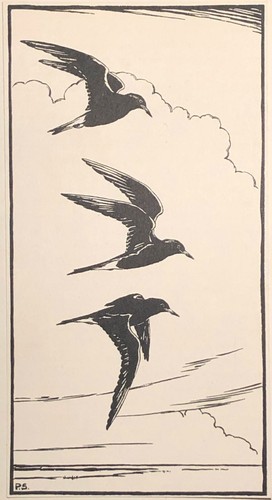 Peter scott - scott, (1909–1989)