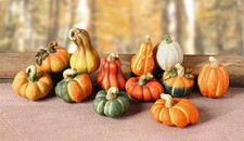 12 Deko Kürbisse aus