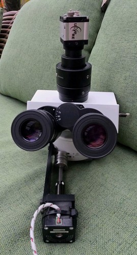 Olympus trinokularkopf - olympus,