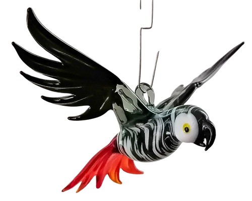 Hängevogel graupapagei - hängevogel,