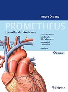 Prometheus innere organe - prometheus,