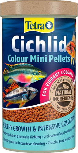 Tetra cichlid colour mini - tetra,