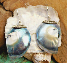 Silber Ohrhänger Nautilus