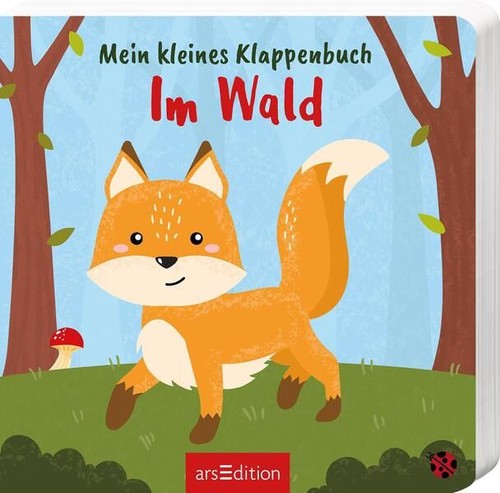 Mein kleines klappenbuch - kleines, ?