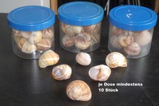 Terrarien- und Aquarien-Deko