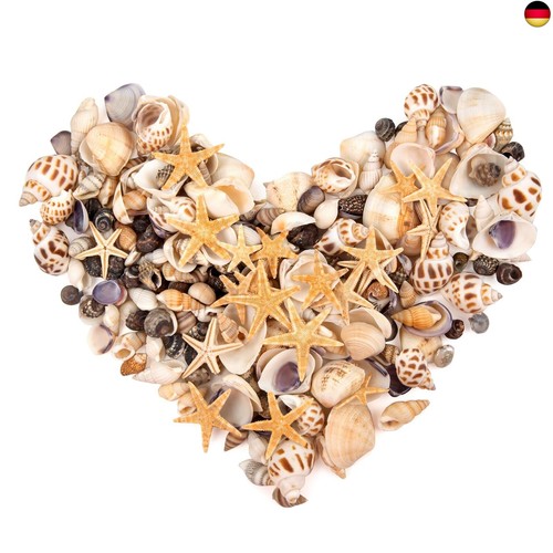 Skoolove 300stück muscheln - skoolove, +