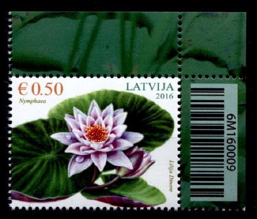 Seerose eckrand - seerose.,