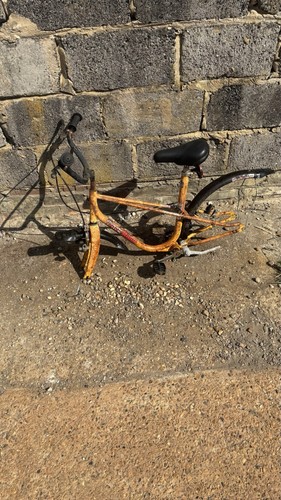 Raleigh speedway bike - speedway,