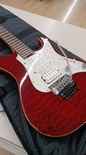 Edwards E-Gitarre E-SN-145FR