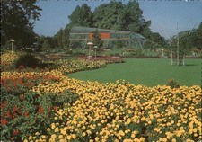 Hamburg Internationale Gartenbau Ausstellung Blumenteppich Tropenhaus