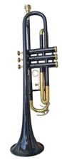 Trompete Profi Modell Jazz Instrumente Bandinstrument schwarz polnisch kein E...