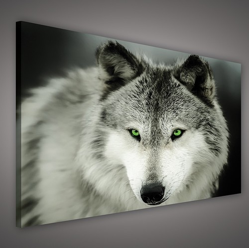 Canvas wandbild leinwandbild - wandbild,