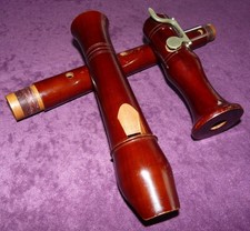 Set! Anfänger-Einsteiger