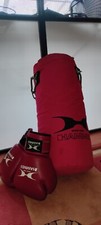  Boxsack + Boxhandschuhe VB