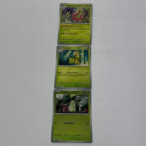 Endivie 008 lorblatt - 008,