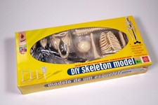 Edu-Toys Skelett als