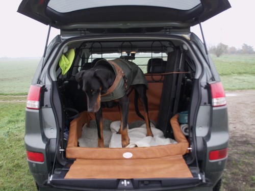Car pad von ridgi - von,