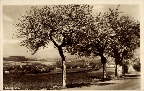 Ebersbrunn lichtentanne - ak,