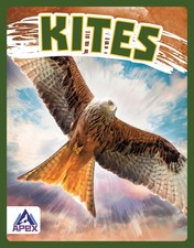 Kites by Connor Stratton (English) Hardcover Book