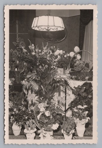 Jubiläum zum blumen - jubiläum,