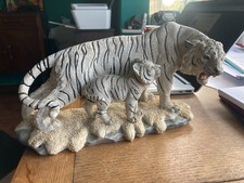 Weißer Schneetiger mit