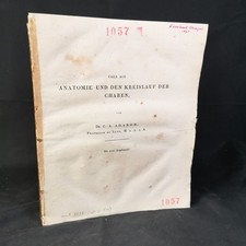 Über die Anatomie und den Kreislauf der Charen. Agardh (1785-1859), Carl Adolph:
