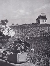 Grünberg/ Zielona Góra-