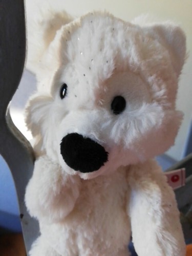 Nici polarfuchs vanja 20 - ca,
