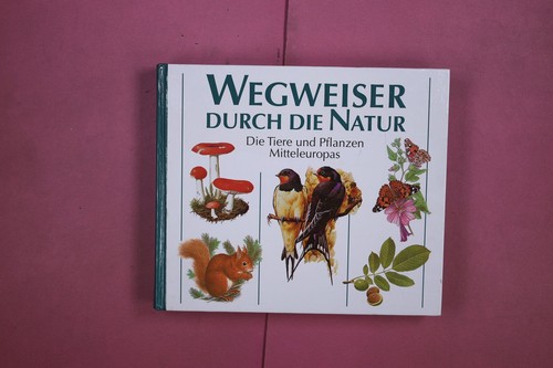 333735 wegweiser durch - wegweiser, die