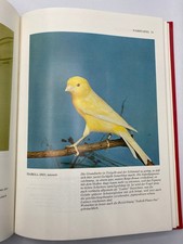 Das große Kanarienbuch  A