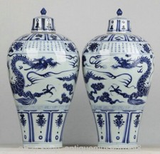 20" Chinesisch  blaue weiße