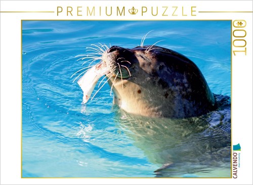 Calvendo puzzle seehund phoca - seehund, (phoca