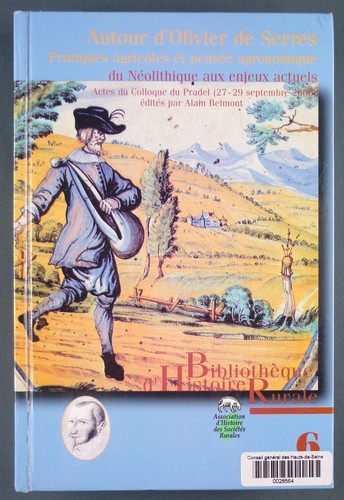 Rund olivenbaum von - rund, um