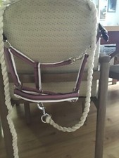 Halfter Set VB/Cob  Braun/weiß /lila mit passendem  Anbinder, 