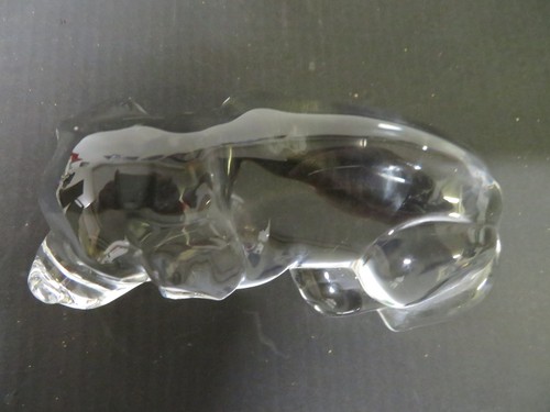 Glas süßer schlafender - , hund