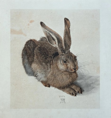 Albrecht dürer junger - dürer:,