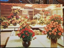 Postkarte 672 n. gel. Erfurt