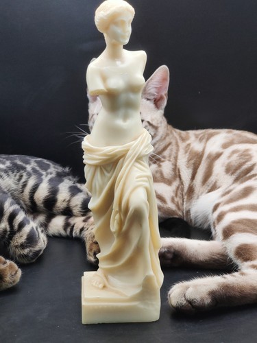 Vintage areti venus - vintage,