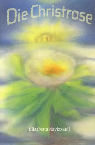 Die christrose - die,