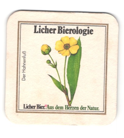 Bierdeckel licher - bierdeckel,