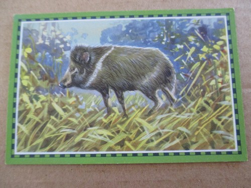 Bild chlorodont süd - 1.bild,