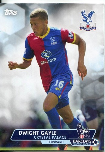 Premier gold soccer - premier,