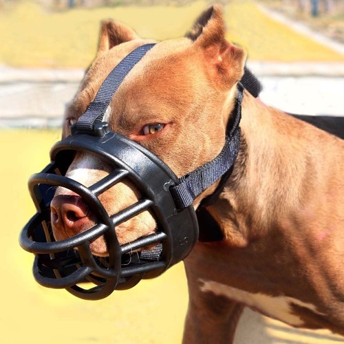 Hundemaulkorb maulkorb - hundemaulkorb,