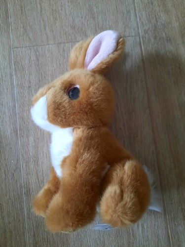 Petjes world hase - world,,