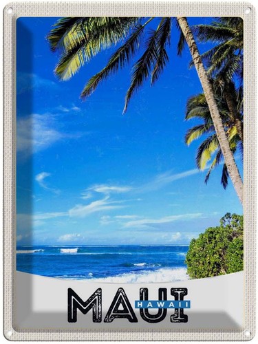 Blechschild 40x30 maui - blechschild, cm