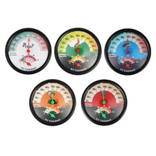 Reptilien Panzer Zifferblatt