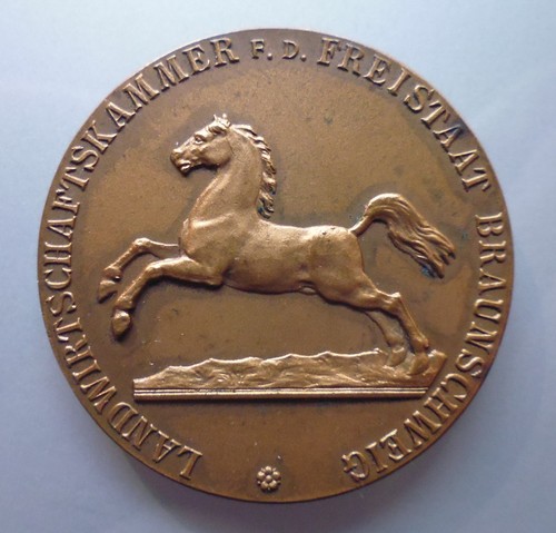 Medaille braunschweiger - medaille, -braunschweiger