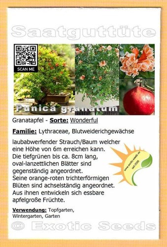 Punica granatum granatapfel - granatum,