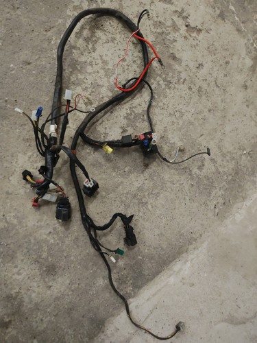 Kabelbaum,Elektrik,TGB