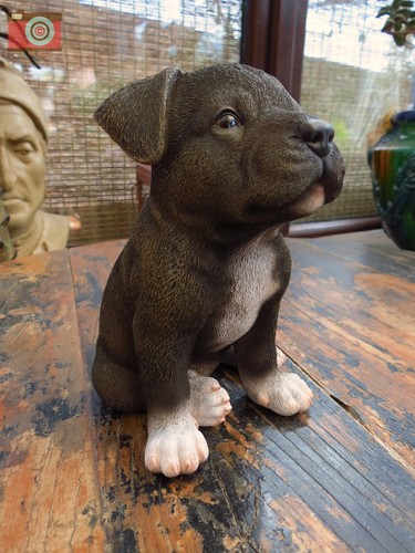 Staffordshire bullterrier - staffordshire,